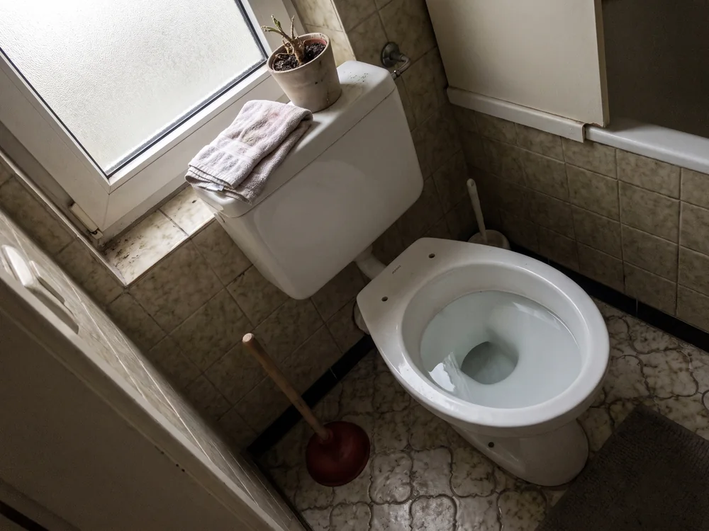 WC verstopft